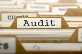 Public companies reining in costs, according to audit partners