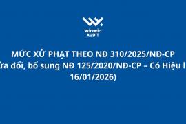 MỨC XỬ PHẠT THEO NĐ 310/2025/NĐ-CP